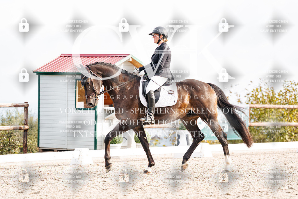 CK901233 | Turnierfotografie Pferdefotografie Trier Rheinland-Pfalz Pferdesport Reitsport Tierfotografie Sportfotografie Pferdevideo Pferdevideografie Equestrianvideography equestrianphotography  - Realisiert mit Pictrs.com