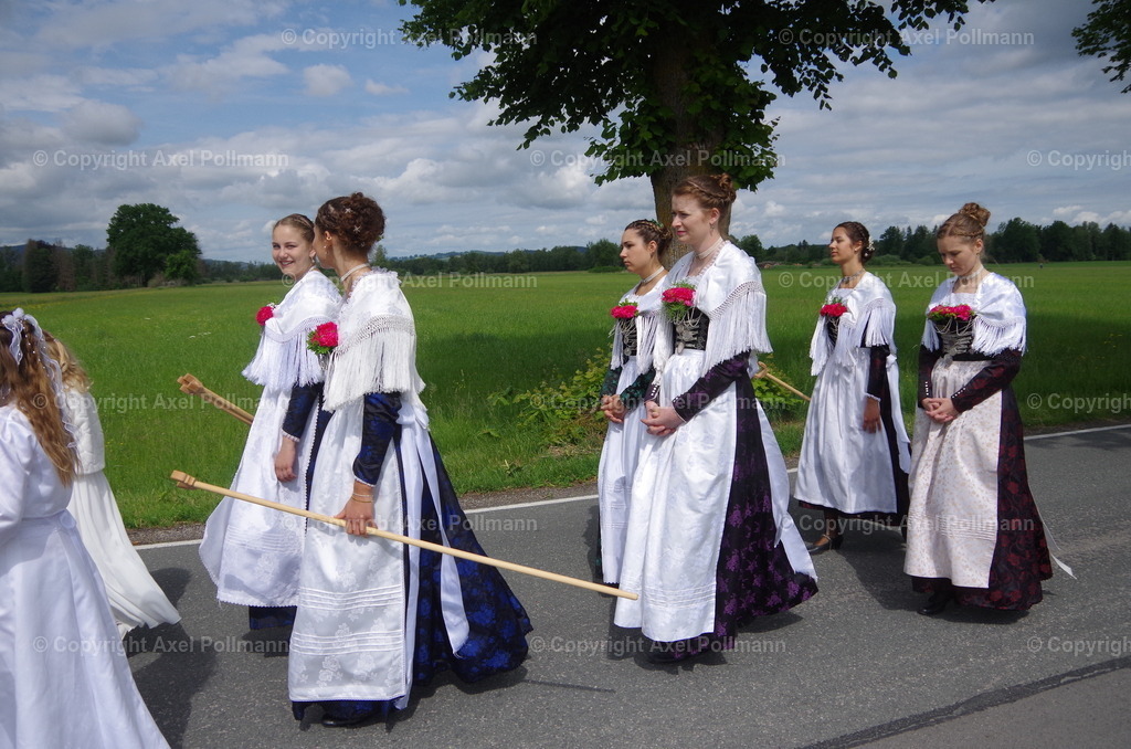 IMGP6761 | fotografiert von Axel PollmannLeonhardi Wallfahrt Benediktbeuern und Murnau, Fronleichnam, Fasching, Landschaft im Loisachtal und Benediktbeuern  - Realisiert mit Pictrs.com