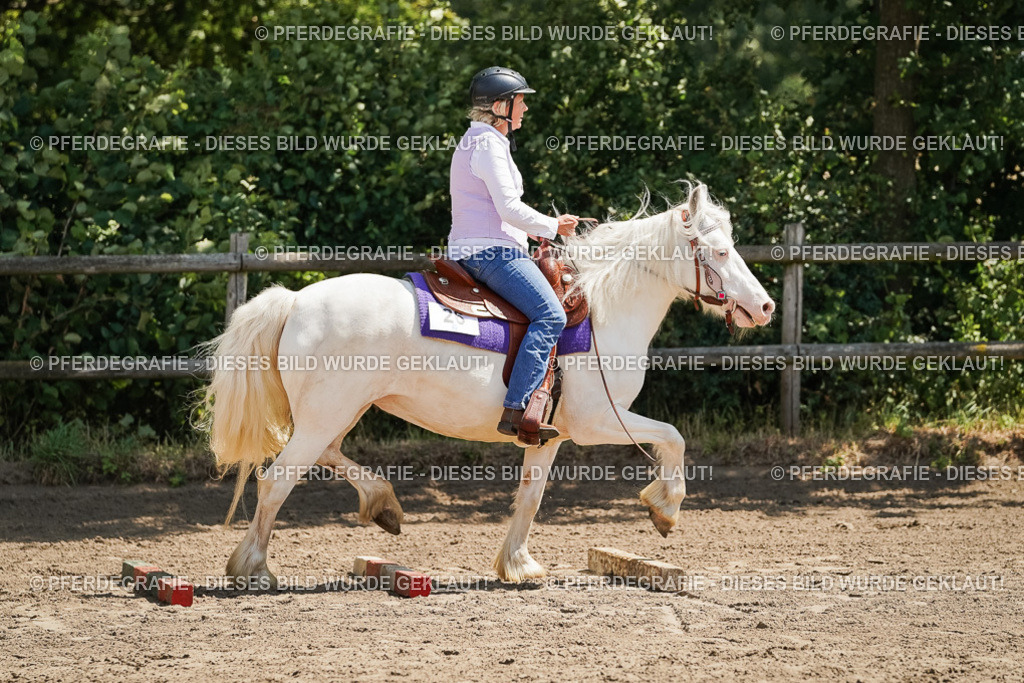 DSC07265 | Pferdegrafie