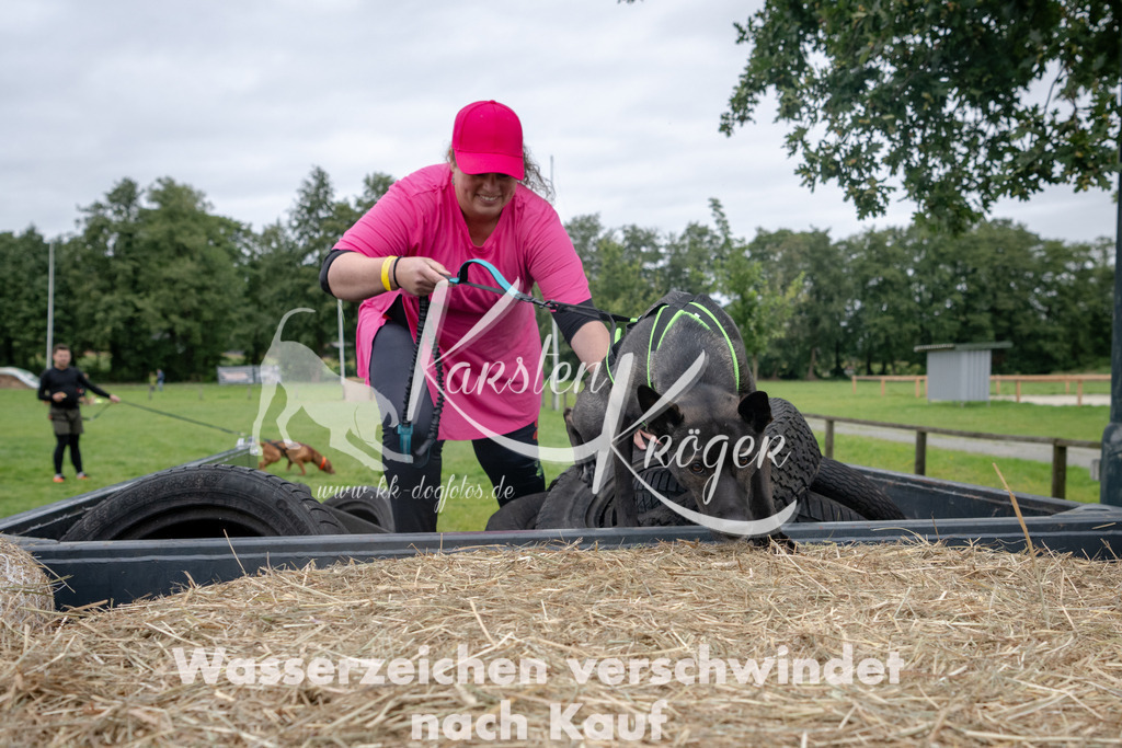 1238_ZZ91610 | kk-dogfotos