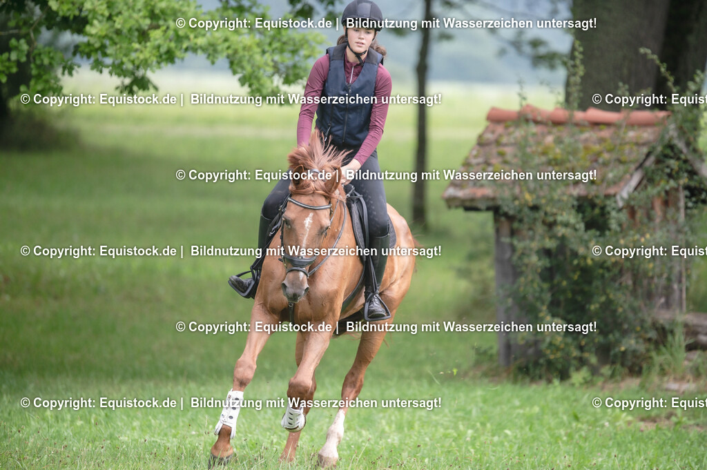 20250726_Vielseitigkeitslehrgang-Marbach_0189 | Foto: Thomas Hartig