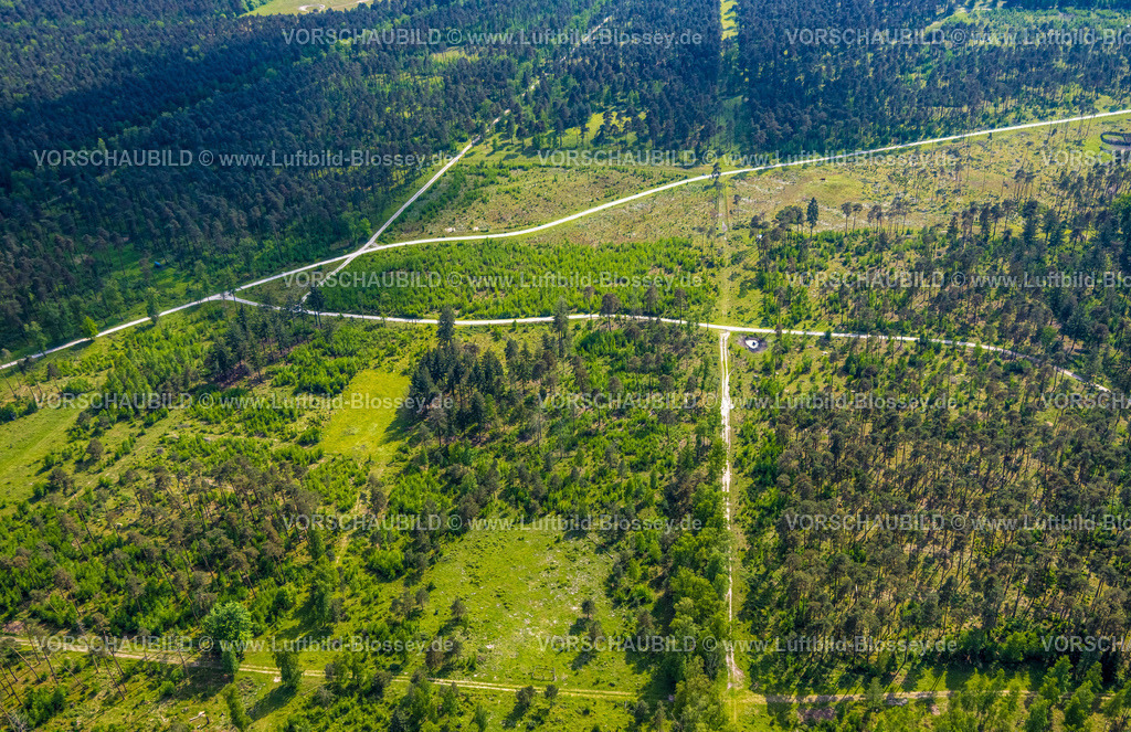 Augustdorf240505534Senne | Luftbild, Waldweiden Wistinghauser Senne Naturschutzgebiet, Heidelandschaft, Wald und Wiesen und Felder, Währentrup, Oerlinghausen, Ostwestfalen, Nordrhein-Westfalen, Deutschland