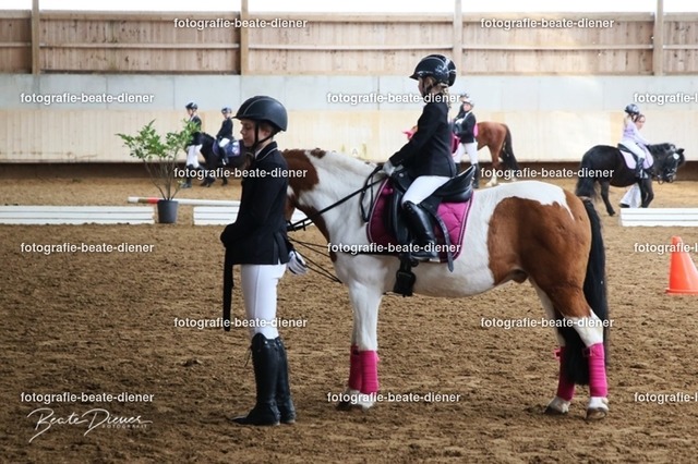 JugendTrophy.II0051 | Fotografie, Tiere, Hunde, Katzen, Pferde, Sportfotografie, Fotosession, Tierfotografie, Turnierfotografie, Fotografin, Fotograf - Realisiert mit Pictrs.com