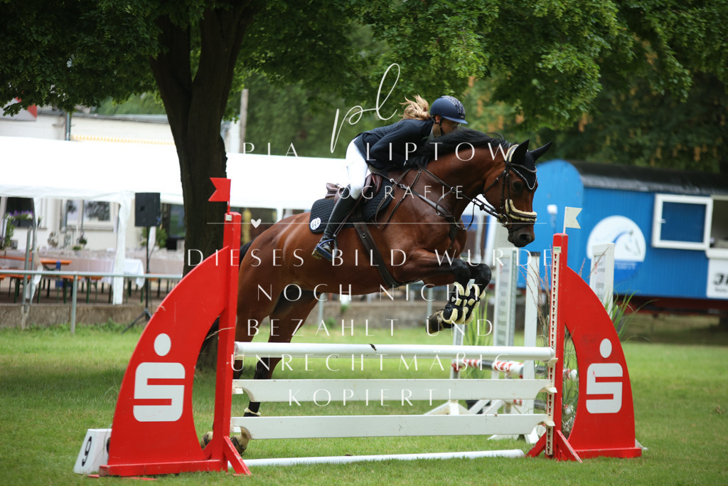 IMGM5329 | pl-fotografie