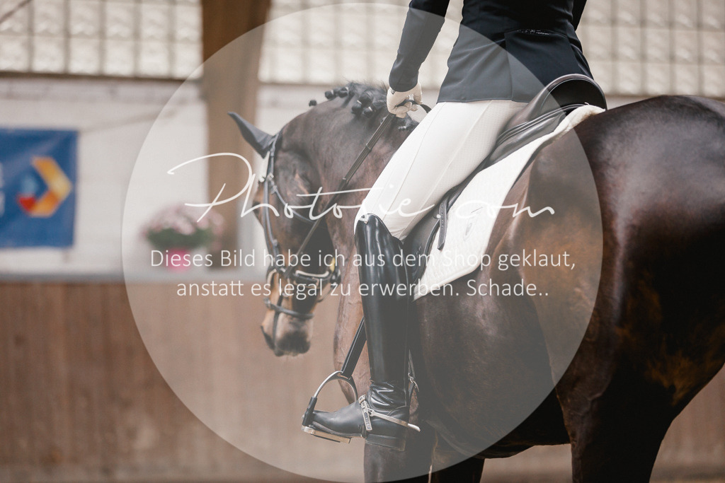 3I6A6797 | Stimmungsvolle Portraits und Reitsportfotografie im Ruhrgebiet und im Münsterland.

Pferdefotografie, Hundefotografie, Tierfotografie, Reportagen, Portraits von Tier und Mensch, Turnierfotografie in Bochum, Recklinghausen, Marl, Haltern am See, Dülmen.. - Realisiert mit Pictrs.com