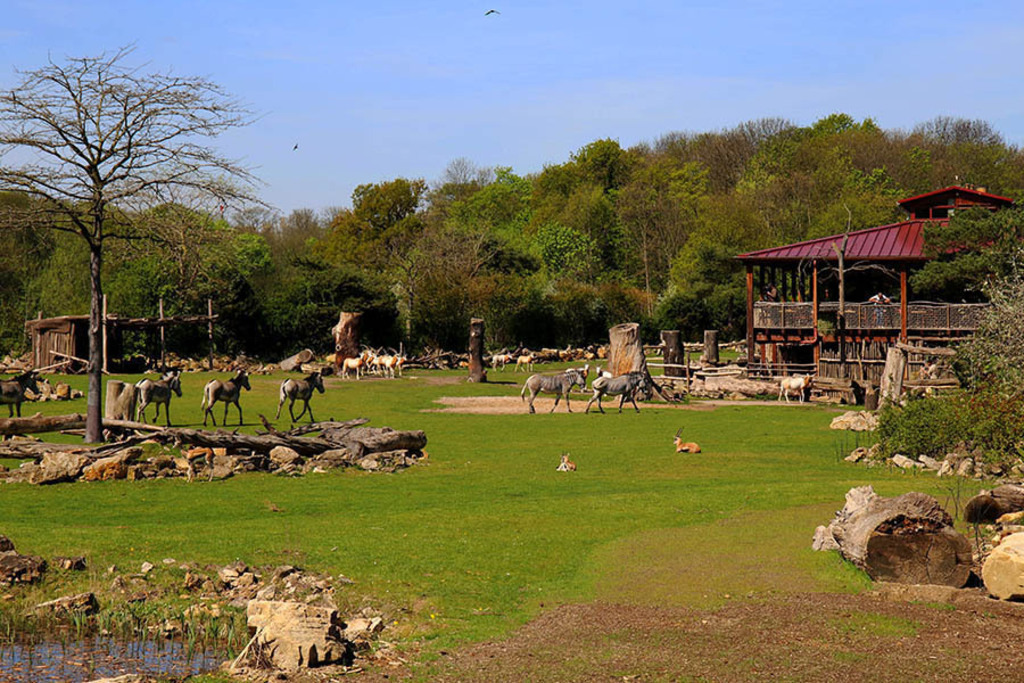 Foto: Leipzig - Zoo | Das Team hinter BILDLEXIKON LEIPZIG bündelt historische wie aktuelle Informationen über die Stadt Leipzig in Text und Bild auf einer Plattform und stellt diese der interessierten Öffentlichkeit zur Verfügung.