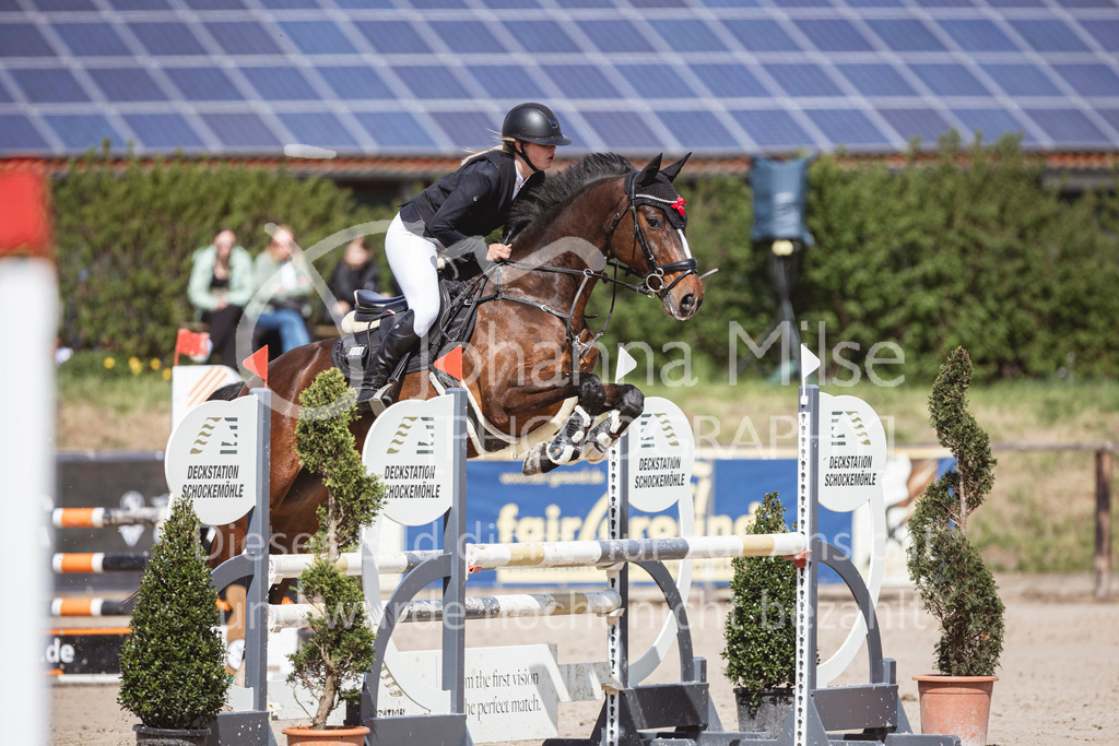 250419_Frühlingsfest_Stil-A2-2-625 | Deine schönsten Turniermomente als professionelle Fotos! Entdecke hochwertige Pferdesport-Fotografie im Online-Shop. Jetzt Fotos finden & bestellen!