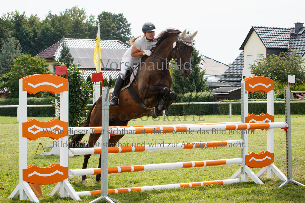 IMG_3272 | P. Berger Fotografie - Realisiert mit Pictrs.com