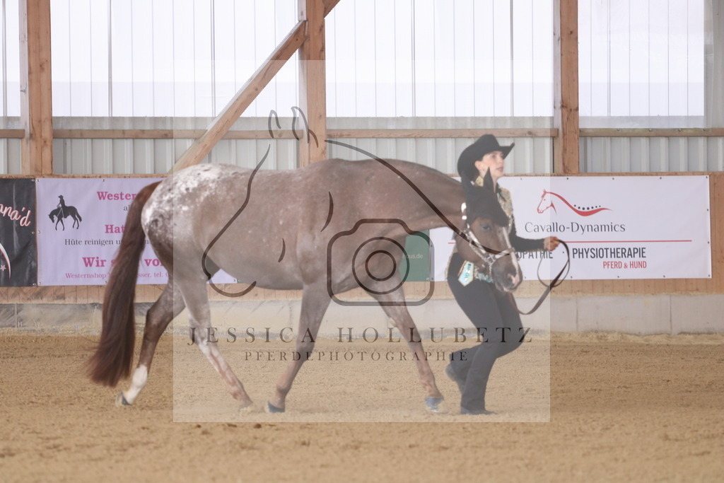 IMG_8732 | jessicahollubetz_pferdephotographie - Realisiert mit Pictrs.com