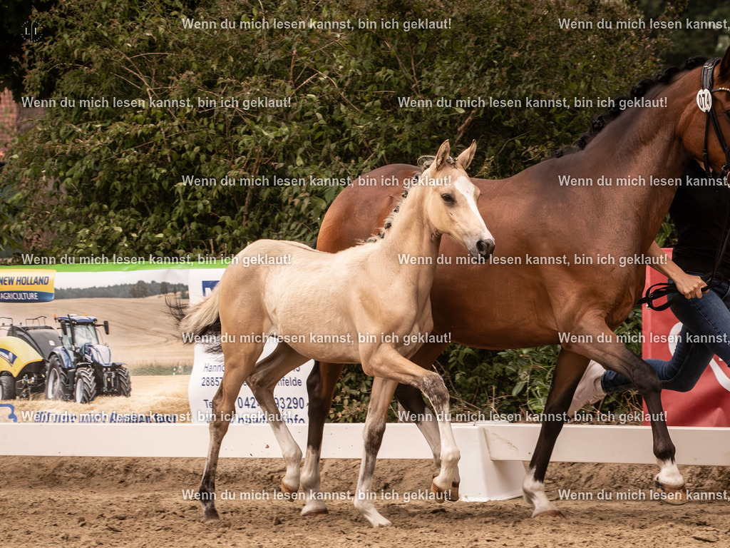 A10I3188-Verbessert-RR 15.56.14 | photographylinaismer - Realisiert mit Pictrs.com