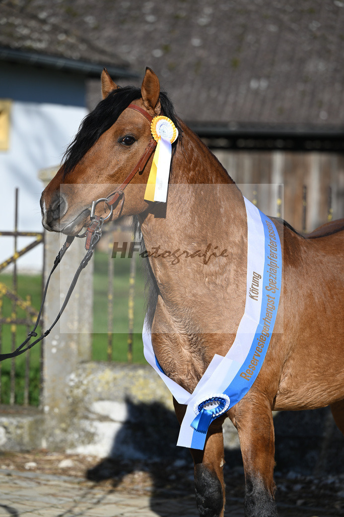 Kat-Nr. 12 Tapadero v. Tape Isidoro_Seefried_49250556 | hf-fotografie - Realisiert mit Pictrs.com