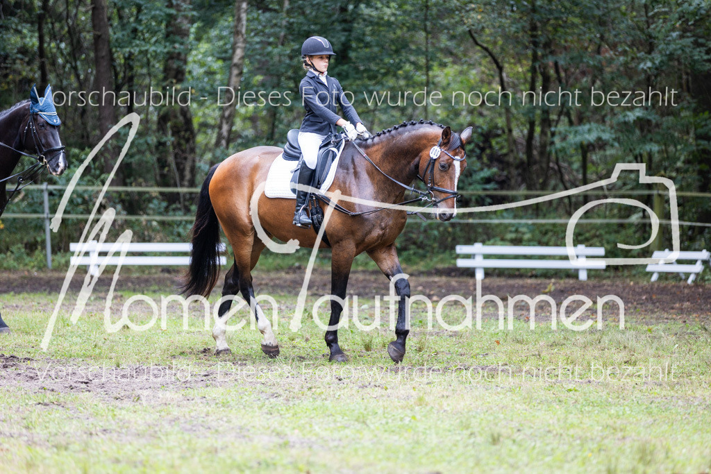 HB-Reiter-WB-016 | MomenTaufnahmen Pferdesportfotos