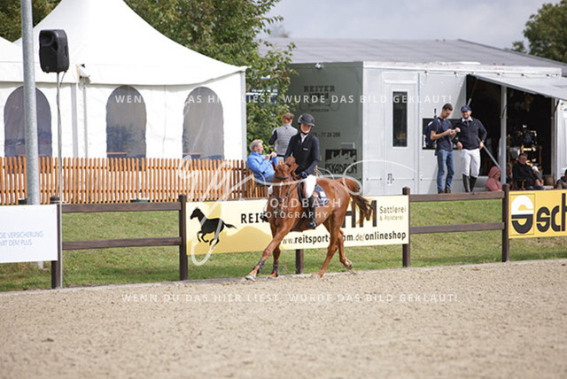 1J2A2508Pheline Ahlmann_ Belloumi_ Kn046_ Havekost | Foto- und Videografie für alles rund ums Pferd. Hochwertige Bilder und Videos vom Spring- und Dressurreiten, Voltigieren & mehr. Jetzt aktuelle Veranstaltungen und Preise im Shop ansehen. - Realisiert mit Pictrs.com