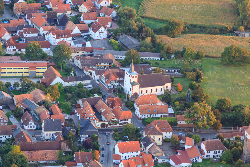 Luftbild: Herrengasse in Minfeld im Bundesland Rheinland-Pfalz in Deutschland. Foto: IMG_53465.jpg vom 28.09.2012 durch Werner Riehm/FLY-FOTO.de