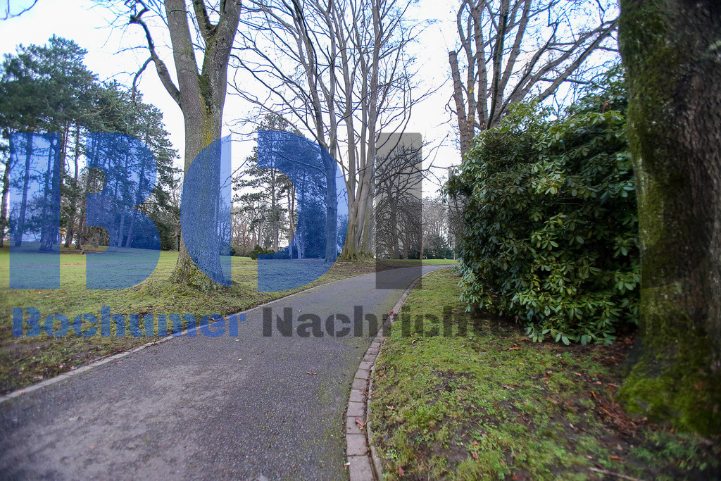  10.12.2020 - 
 | Sebastian Sendlak / Bochumer Nachrichtendienst (BOND) - Bochum Allgemein - Stadtpark - Realisiert mit Pictrs.com