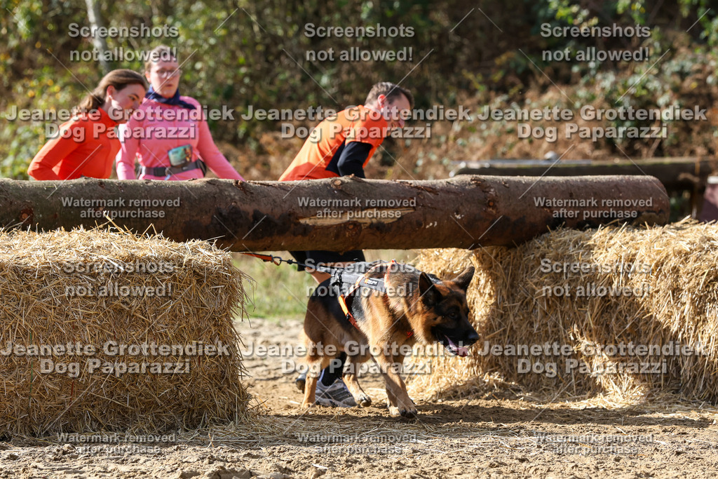 Dog Paparazzi - Strongdog 10-25-5523 | Dog Paparazzi Jeanette Grottendiek Fotografie & Videografie - Realisiert mit Pictrs.com