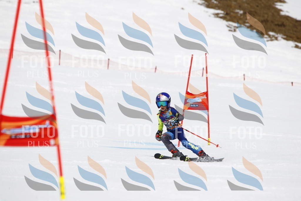 _U3G6449 | holidayphoto