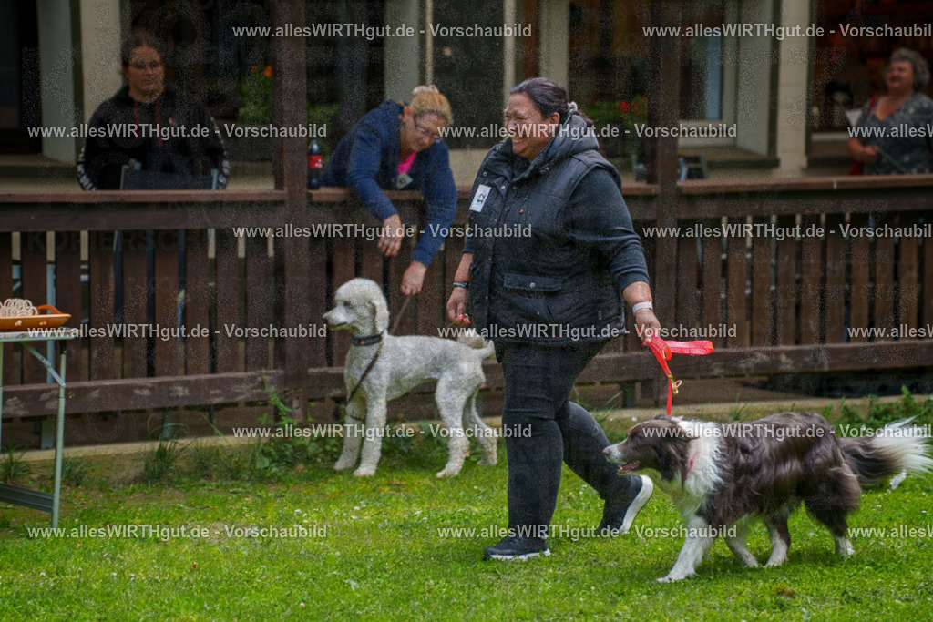 @allesWIRTHgut_Tierfotografie - www.allesWIRTHgut.de - 7R504016 | Professionelle Tierfotografie in Mönchengladbach von Daniel Wirth (allesWIRTHgut). Liebevolle & natürliche Bilder von Hunden & Katzen für unvergessliche Erinnerungen.