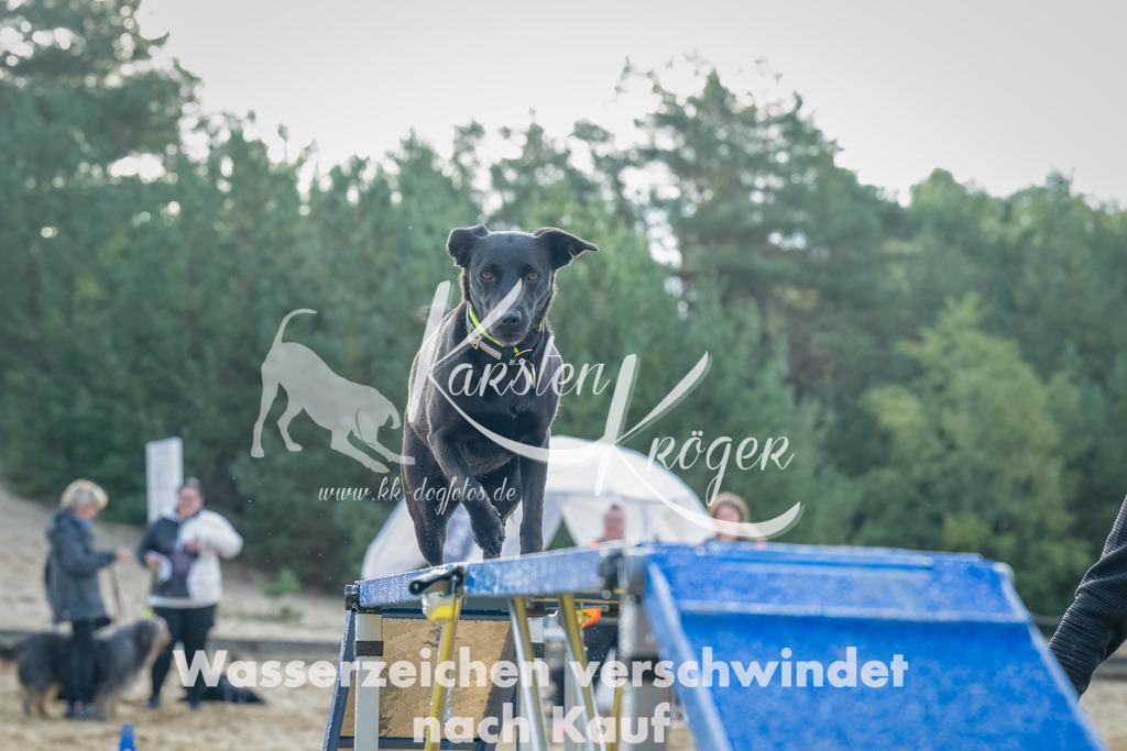 0903_ZZ91791-Bearbeitet | kk-dogfotos