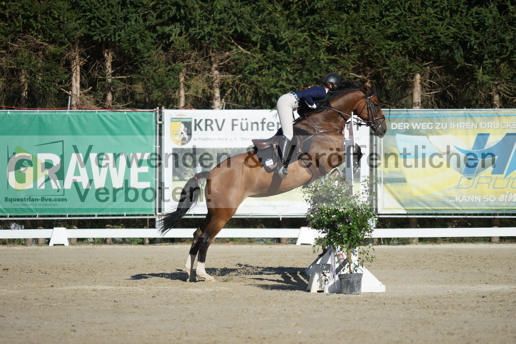 DSC01226 | equestrian-live-com