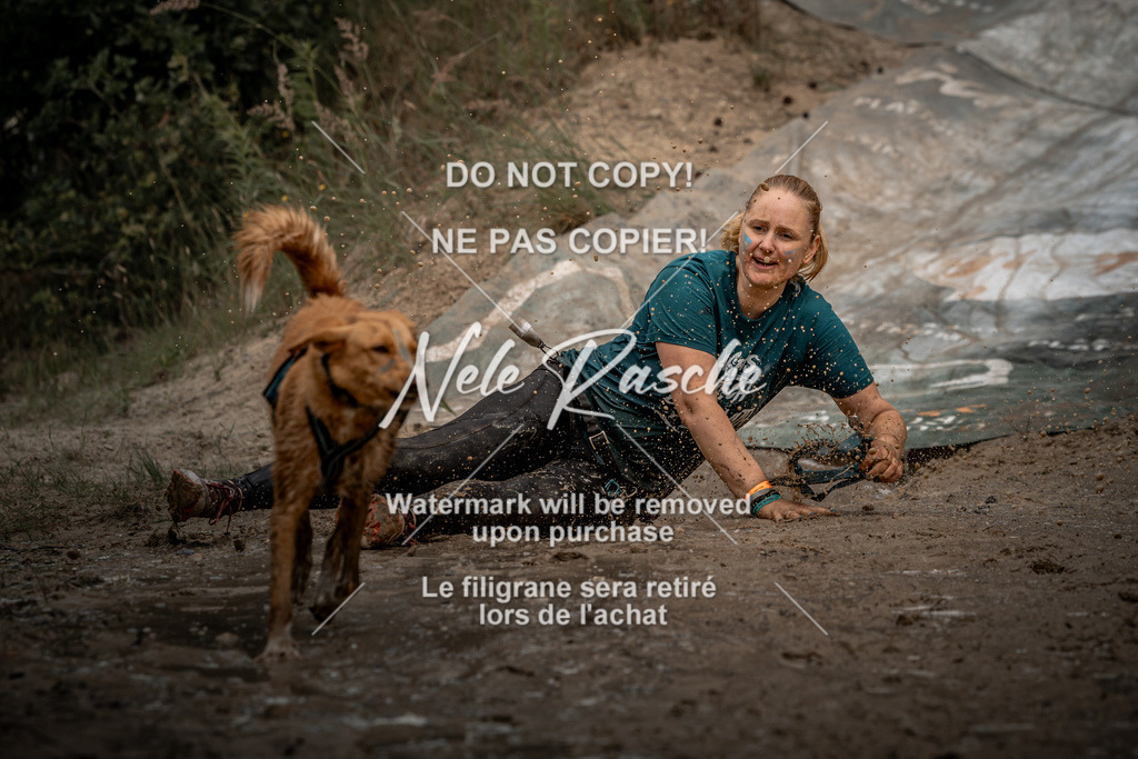 nelerasche_sa1345-1430_225 | nelerasche