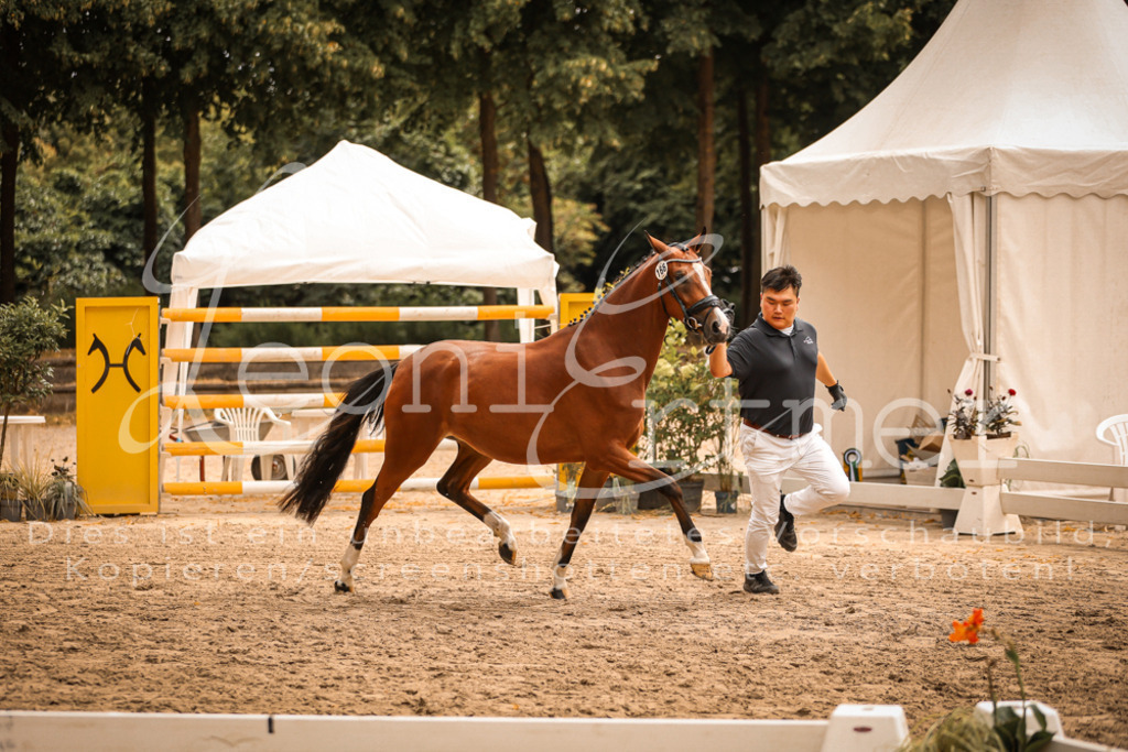 11.So00014 | Leoni Ertmer Photography - Realisiert mit Pictrs.com