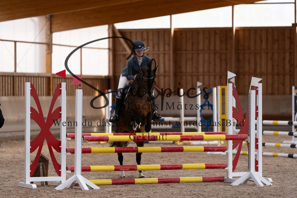 A7507826 | Pferdefotograf