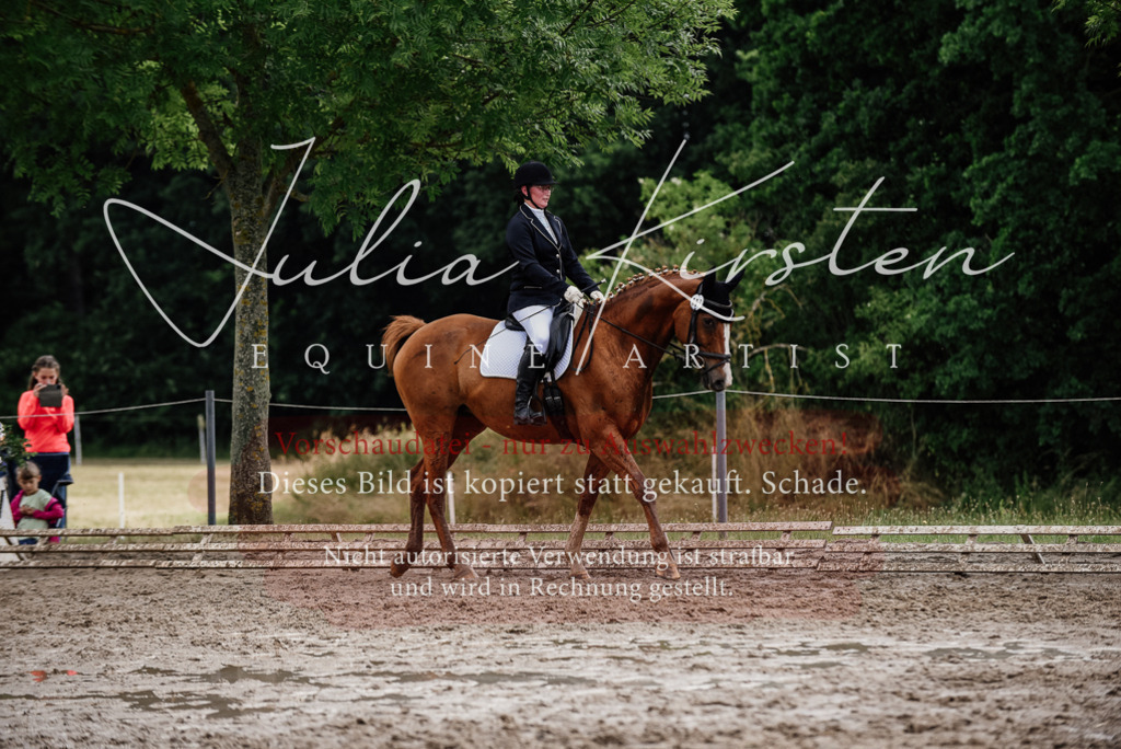 DSC_0677 | Pferde- und Turnierfotografie in Westsachsen. Pferdeportraits, Auftragszeichnungen und intuitive Kunst.