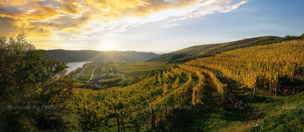 foto_c_pfeffel-partner-0205-R51_9300-Pano-Bearbeitet | alexander-pfeffel - Realisiert mit Pictrs.com