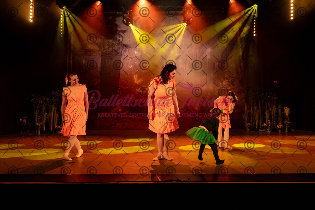 Ballettaufführung-345 | Bildershop Lem'n Entertainment - Realisiert mit Pictrs.com