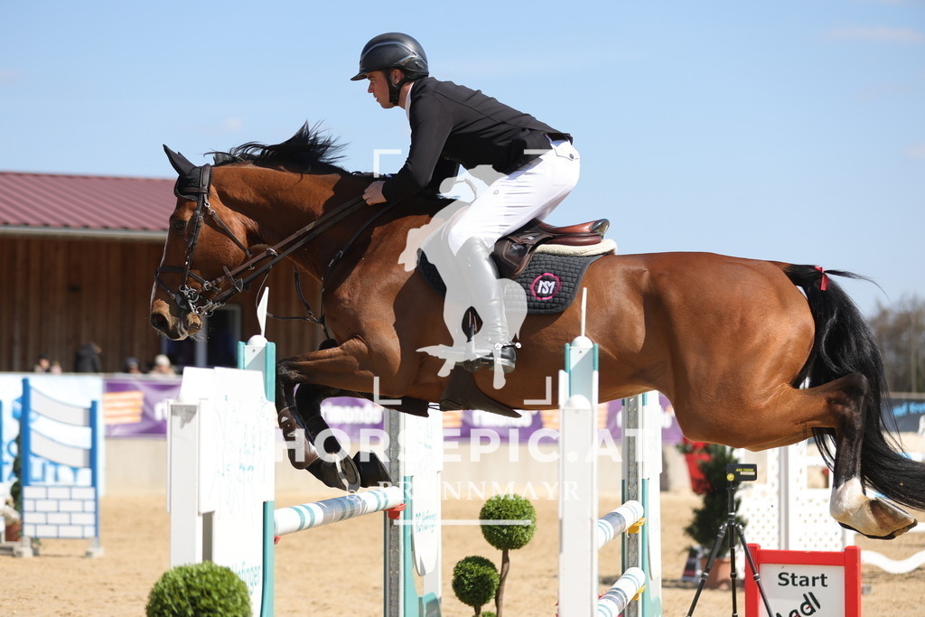 0P6A0657 | Willkommen bei Brunnmayr - Design & Fotografie – Ihrem Spezialisten für Reitturniere und Pferdeveranstaltungen in Oberösterreich, Salzburg und Bayern! Seit über 17 Jahren sind wir leidenschaftlich dabei.