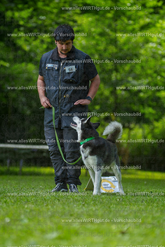 @allesWIRTHgut_Tierfotografie - www.allesWIRTHgut.de - 7R500882 | Professionelle Tierfotografie in Mönchengladbach von Daniel Wirth (allesWIRTHgut). Liebevolle & natürliche Bilder von Hunden & Katzen für unvergessliche Erinnerungen.