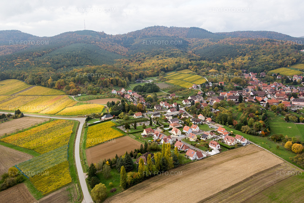 Aerial view: View of the town in Rott in the state Bas-Rhin, France.Photo: IMG_084600.jpg taken on 10/23/2015 by Werner Riehm/FLY-FOTO.comResolution of the original: 5472 x 3648 px