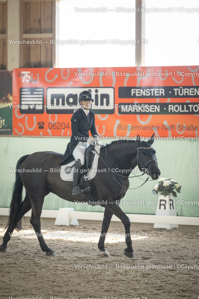 _D5A1723 | Emotionale Pferde- & People-Fotografie rund um Heidelberg, Leimen & Umgebung. Natürliche Fotos von Pferd, Mensch & Familie. Jetzt Termin sichern!