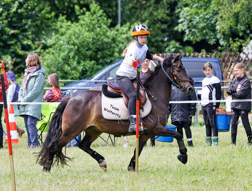 1B3A2169 | Reitsport Reiten