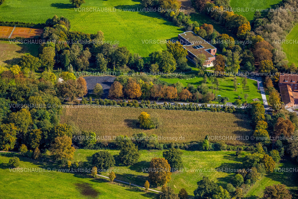 Hamm241008517 | Luftbild, Schlossstraße Baum auf einem Feld, Stadtbezirk Heessen, Hamm, Ruhrgebiet, Nordrhein-Westfalen, Deutschland