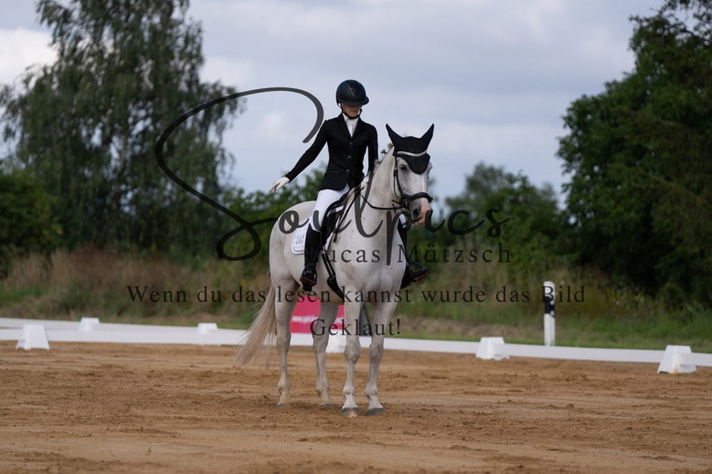 A7V05155 | Pferdefotograf