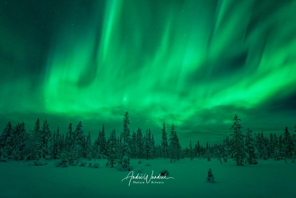 Polarlicht über Lappland | Andre Wandrei - Nature Artworx - Realisiert mit Pictrs.com