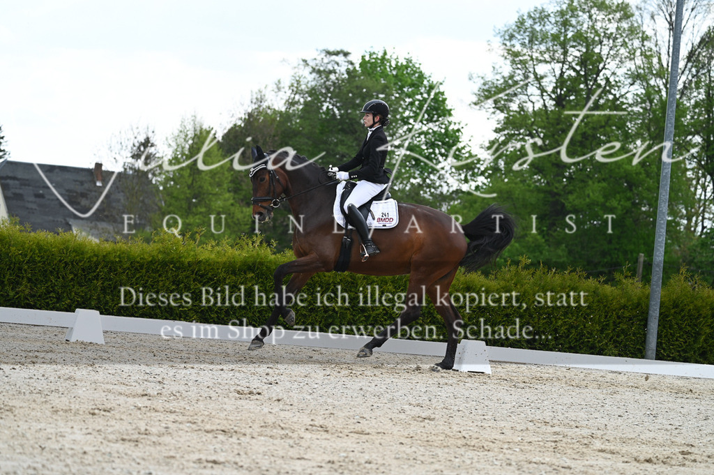 20230512_JK-Röhrsdorf-03-006 | Pferde- und Turnierfotografie in Westsachsen. Pferdeportraits, Auftragszeichnungen und intuitive Kunst.