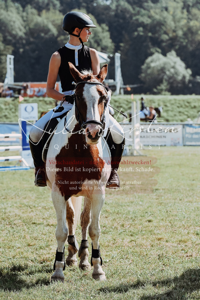 DSC_6207 | Pferde- und Turnierfotografie in Westsachsen. Pferdeportraits, Auftragszeichnungen und intuitive Kunst.