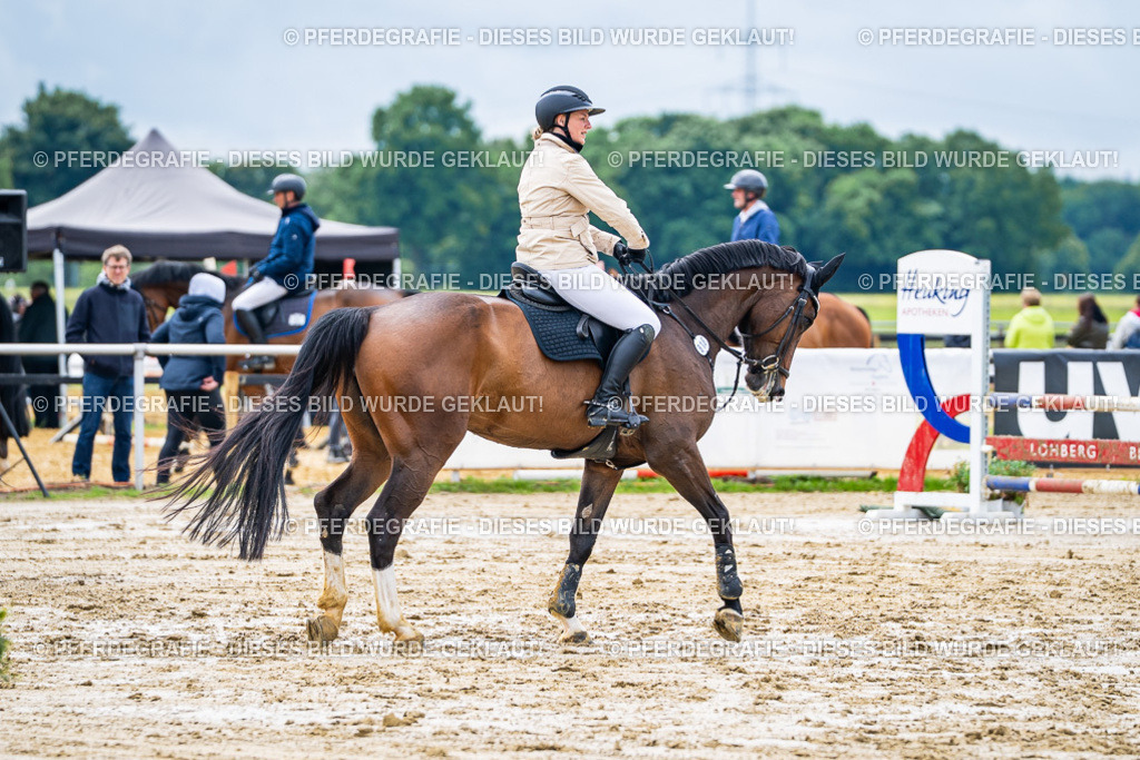 DSC03924 | Pferdegrafie