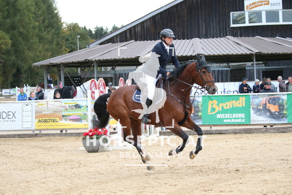DL2Q6086 | Willkommen bei Brunnmayr - Design & Fotografie – Ihrem Spezialisten für Reitturniere und Pferdeveranstaltungen in Oberösterreich, Salzburg und Bayern! Seit über 17 Jahren sind wir leidenschaftlich dabei.