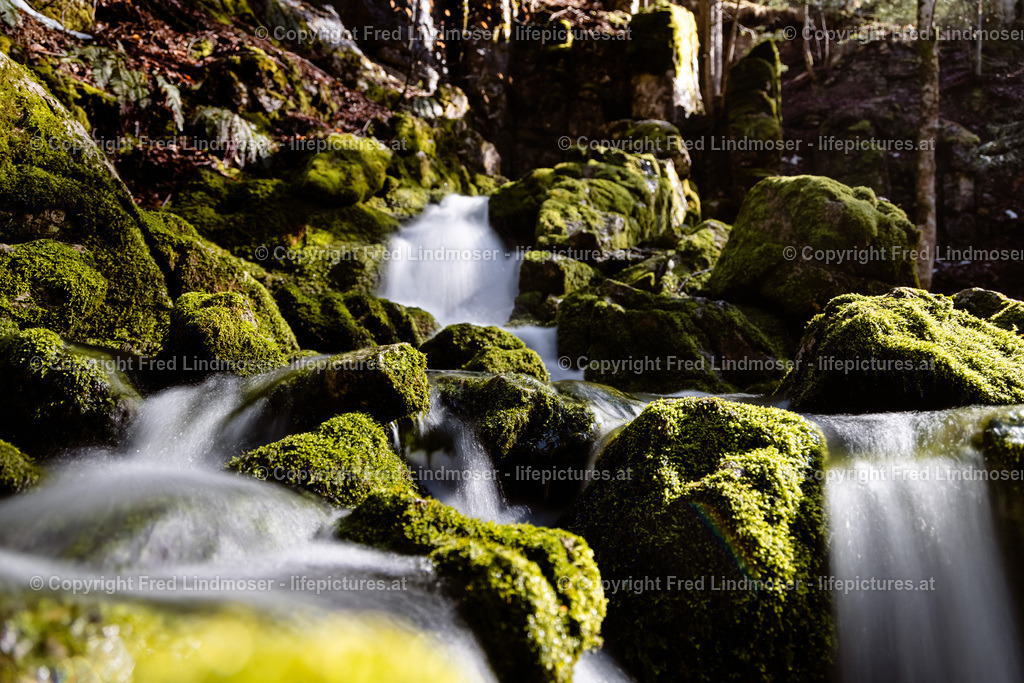 Erlaufursprung 23042021-2959 | Fotos und Fotoprodukte - Realisiert mit Pictrs.com