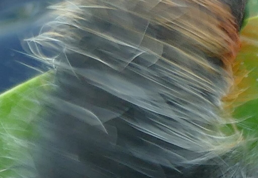 P3800552_a | Annaeherungen - Realisiert mit Pictrs.com