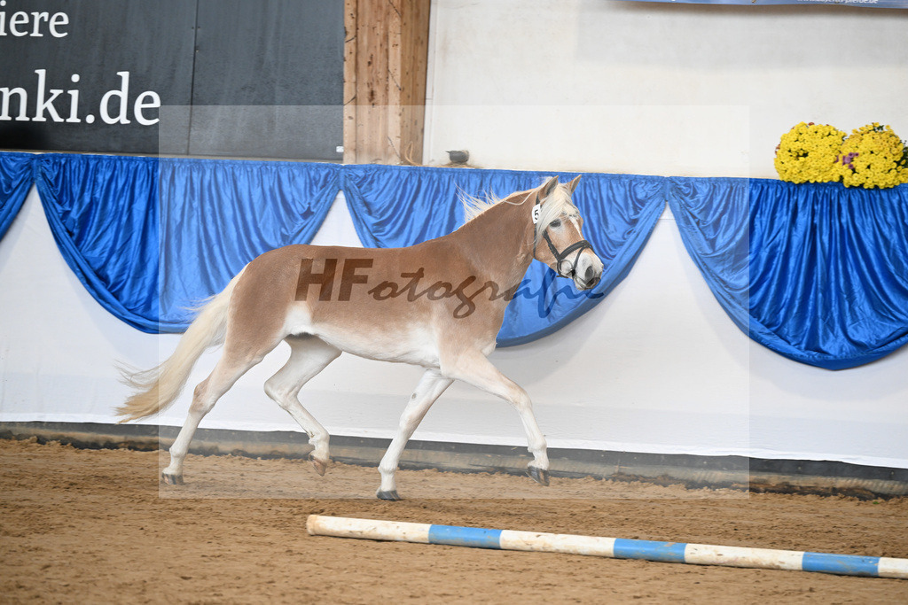 Bl. Band Kat-Nr. 5 Lady Cool v. Wetterstein_Gossner_48251315 | hf-fotografie - Realisiert mit Pictrs.com
