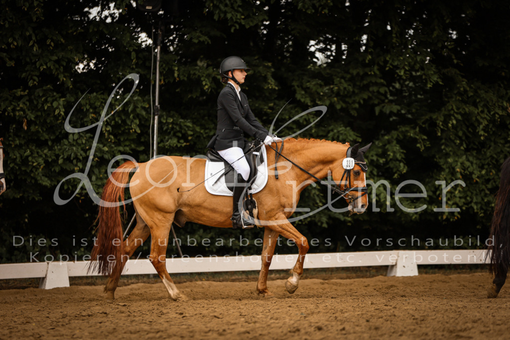 DoDrE00426 | Leoni Ertmer Photography - Realisiert mit Pictrs.com