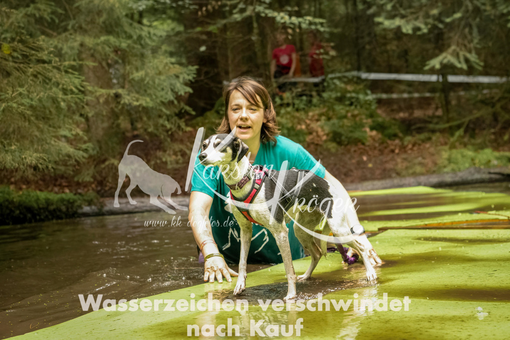 1210_ZZ92872-Bearbeitet | kk-dogfotos