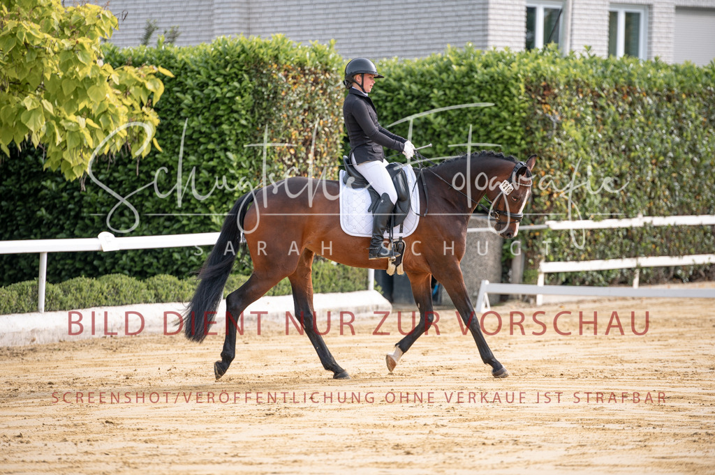 Schugtsche-Aluta25-40.DressurprfA_-50 | Schugtsche Fotografie - Realisiert mit Pictrs.com