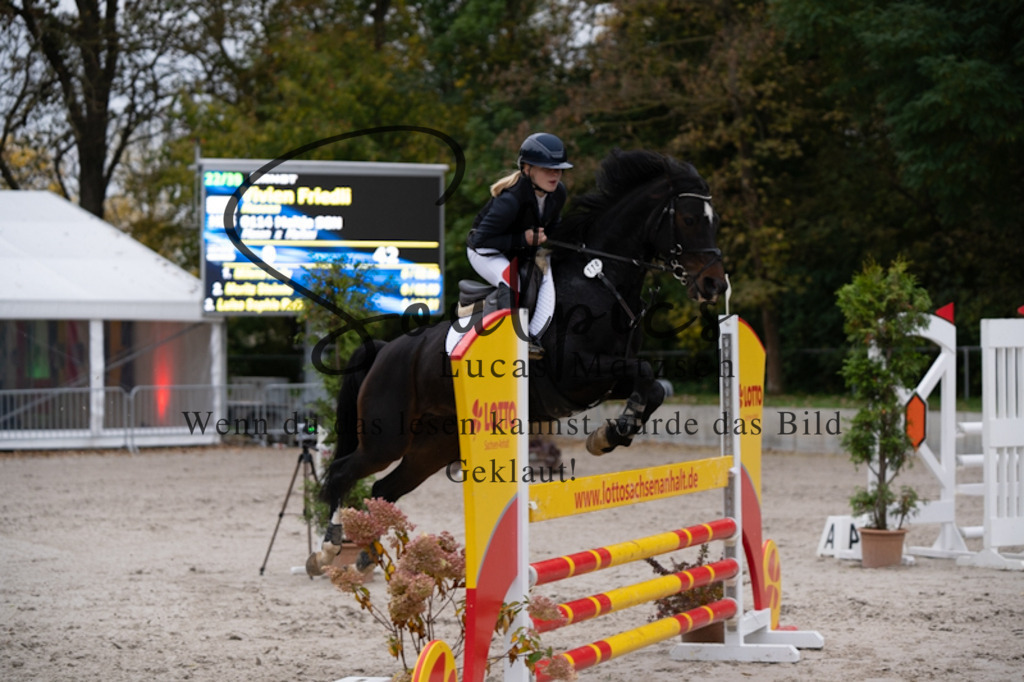 A7V00038 | Turnier/Reitfotograf