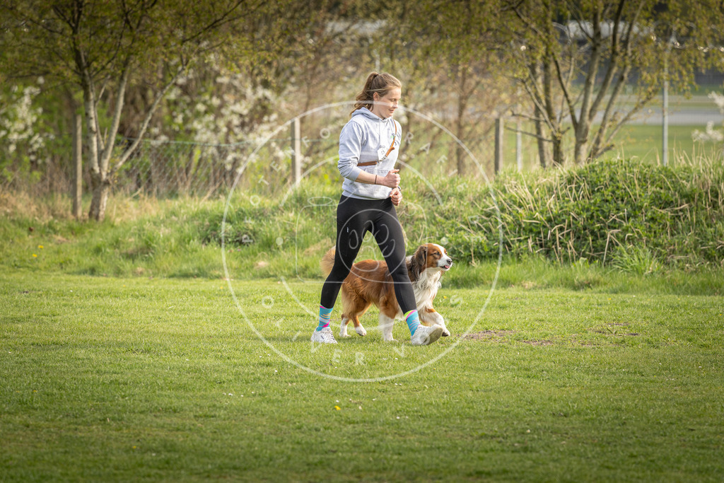 Pfotenfotografie_DV3A4954 | Hundefotografie, Tierfotograf, Pfotenfotografie, Fotoshooting Hund, Hunde Portrait, Hundesport, Hundeportraits, Heideshooting, Hunde, Sportfotograf, Hundefotograf, Turnierhundsport, THS,  - Realisiert mit Pictrs.com